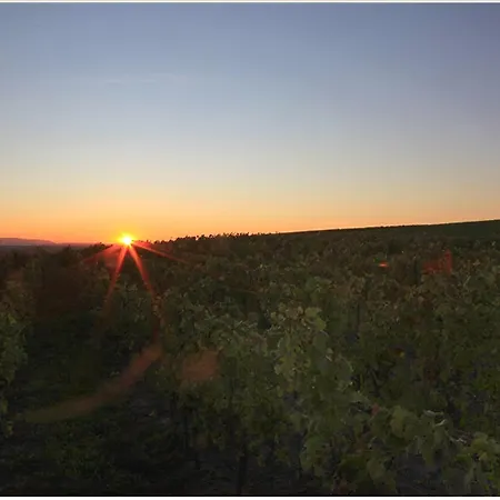 Landgut Schill 3* Osthofen