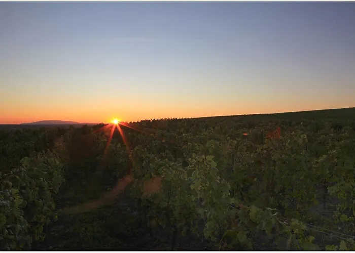 Landgut Schill 3* Osthofen