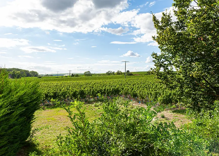 Landgut Schill 3* Osthofen